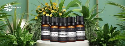 Qualité Diffuseur de parfum électrique usine