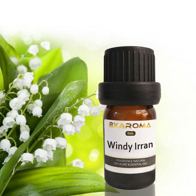 Bon prix Parfum viable 500ml de parfum d'ambiance de voiture d'Ilan Aroma Diffuser Essential Oil en ligne